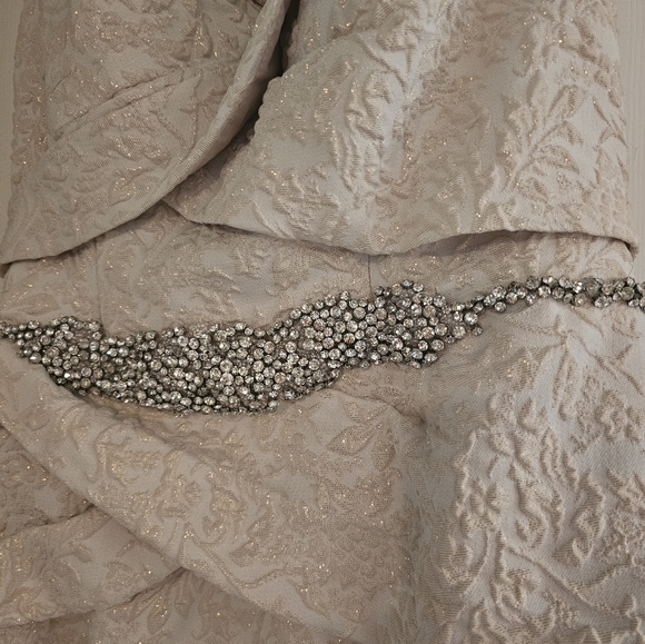 Terani Couture Blush and Gold Evening Gown - Picture 6 of 10